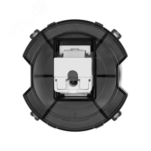 Розетка компьютерная RJ45 фисташковая Байкал TDM