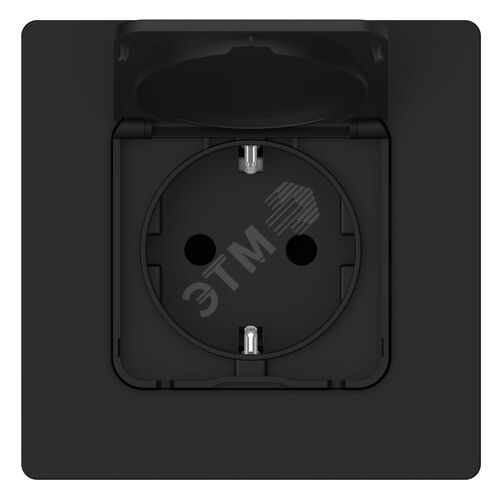 FLITE Розетка с заземлением с защитными шторками и крышкой 16А IP44 РСшкр11-0-44-ФлЧ черный