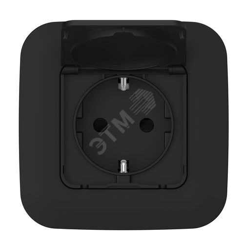 FLITE Розетка с заземлением с защитными шторками и крышкой 16А IP44 РСшкр11-0-44-ФлЧ черный
