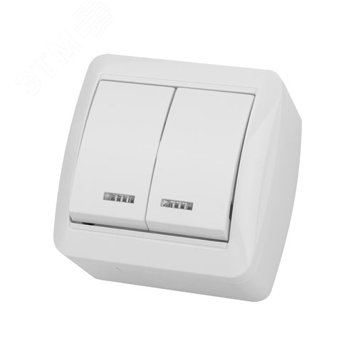 Выключатель 2-кл. открытой установки с подсветко IP44 10А белый Селигер TDM