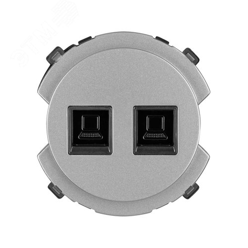 Розетка компьютерная двойная RJ45 платина Байкал TDM