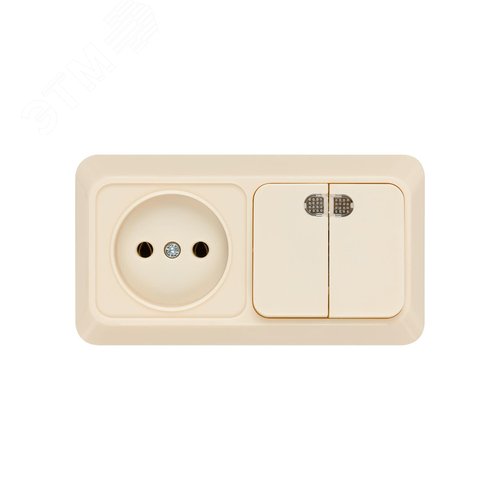 Блок комбинированный выкл. 2-кл. с/п 10А + розетка 2П 10А 250В БКВР IP20 сл. кость Ладога