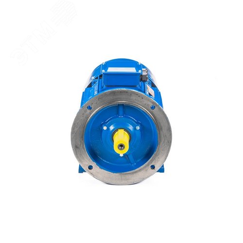 Электродвигатель 5АИ 280 М6 90/1000 IM 2001