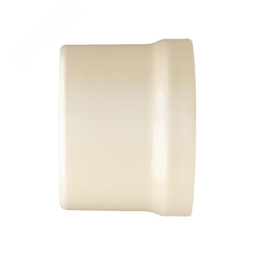 Розетка телефонная RJ11 + компьютерная RJ45 сл. кость Болонь TDM