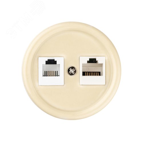 Розетка телефонная RJ11 + компьютерная RJ45 сл. кость Болонь TDM