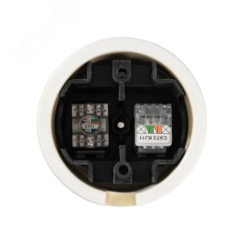 Розетка телефонная RJ11 + компьютерная RJ45 сл. кость Болонь TDM