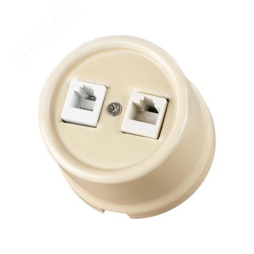 Розетка телефонная RJ11 + компьютерная RJ45 сл. кость Болонь TDM