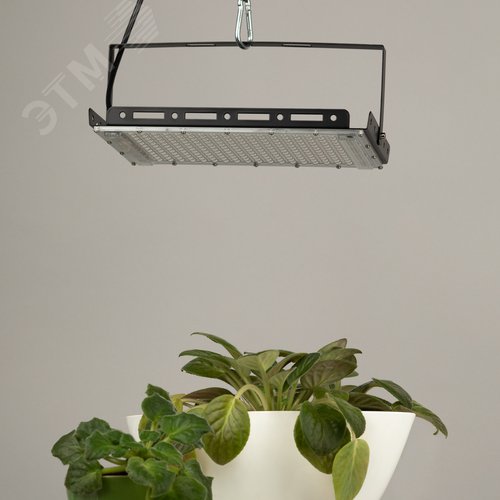 Фитопрожектор для растений светодиодный 200 Вт полного спектра FITO-200W-Ra90-LED-Y-GR GREEN LINE
