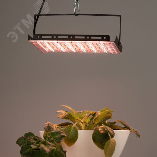 Фитопрожектор для растений светодиодный 200 Вт полного спектра FITO-200W-Ra90-LED-Y-GR GREEN LINE