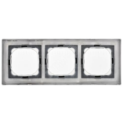 FLITE Рамка 3-местная IP55 Рпро-3-55-ФлЧ черный