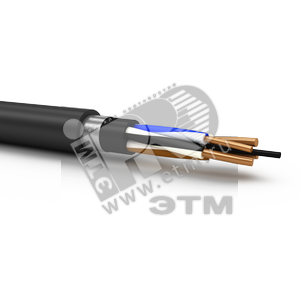 Кабель силовой ВБШв 2х4ок(N)-0.66 ТРТС ВНИИКП