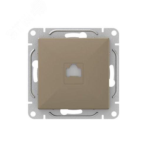 Механизм розетки RJ45 (cat6), шампань Эпика EKF