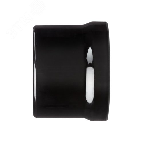 Розетка двойная компьютерная RJ45 черная Болонь TDM