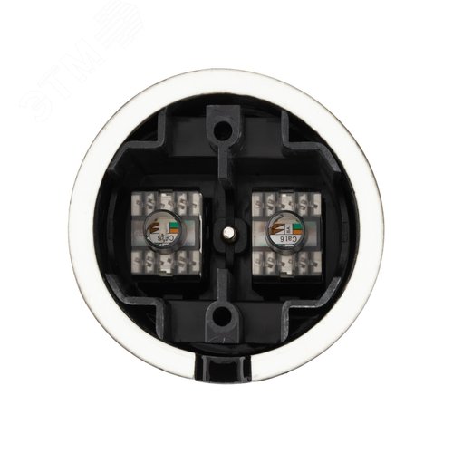 Розетка двойная компьютерная RJ45 черная Болонь TDM