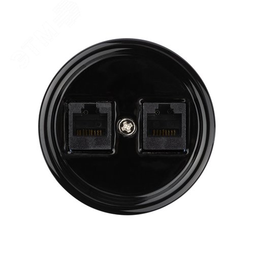 Розетка двойная компьютерная RJ45 черная Болонь TDM