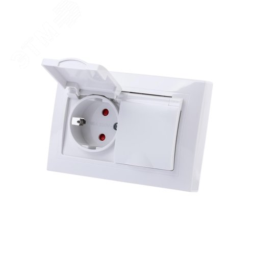 Розетка двойная 2П+З с защ. шт. и крышкой 16А 250В IP44 (основание пластик) белая Таймыр TDM