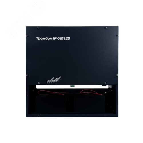 Усилитель мощности Тромбон IP-УМ120 исполнение 2