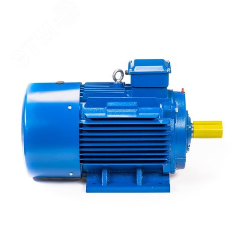 Электродвигатель 5АИ 355 MLA8 200/750 IM1001
