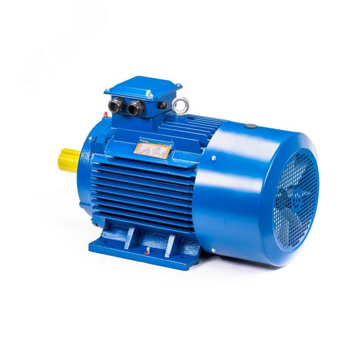 Электродвигатель 5АИ 355 MLA8 200/750 IM1001