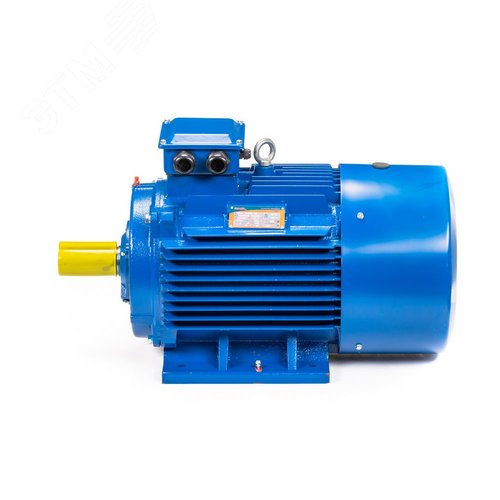 Электродвигатель 5АИ 355 MLA8 200/750 IM1001