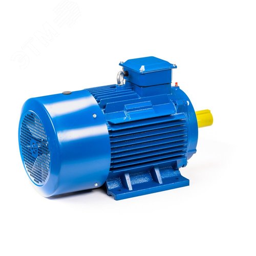 Электродвигатель 5АИ 355 MLA8 200/750 IM1001