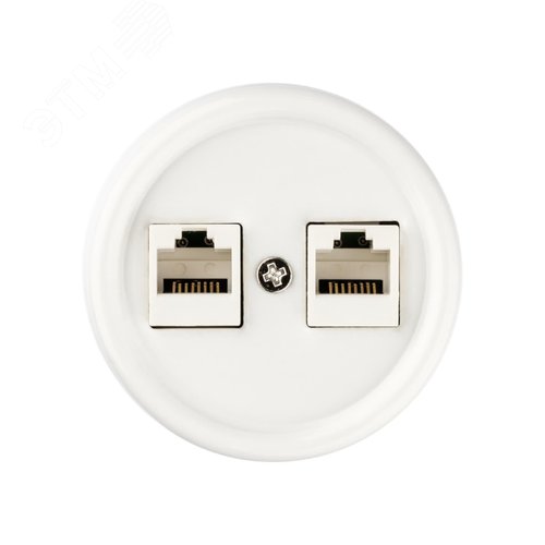 Розетка двойная компьютерная RJ45 белая Болонь TDM