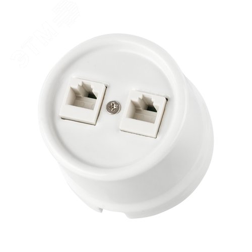 Розетка двойная компьютерная RJ45 белая Болонь TDM