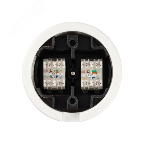 Розетка двойная компьютерная RJ45 белая Болонь TDM