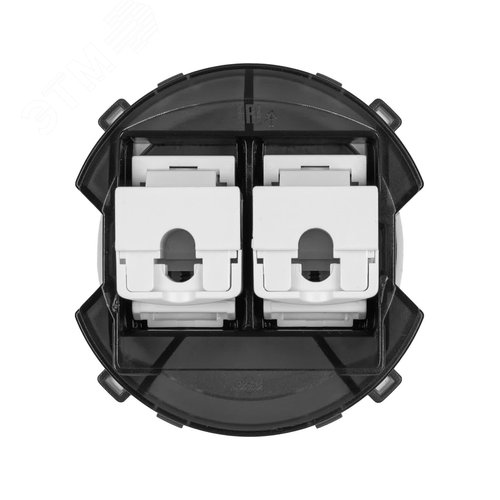 Розетка компьютерная двойная RJ45 фисташковая Байкал TDM