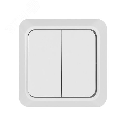 Выключатель двухклавишный открытой установки IP20 10А, белый ''Ладога''