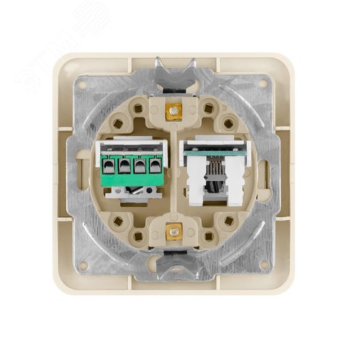 Розетка компьютерная RJ-45 + TФ (RJ-11) сл. кость Валдай TDM