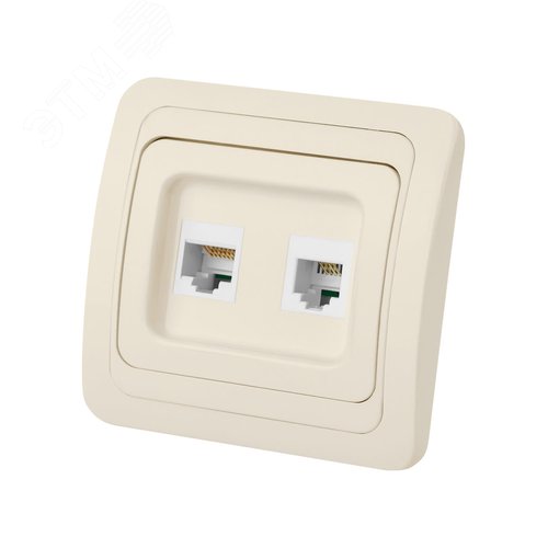 Розетка компьютерная RJ-45 + TФ (RJ-11) сл. кость Валдай TDM