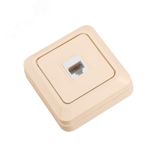 Розетка компьютерная (RJ-45) открытой установки IP20, сл. кость Ладога