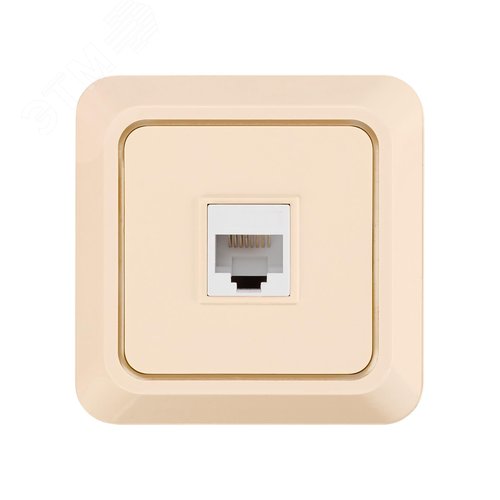 Розетка компьютерная (RJ-45) открытой установки IP20, сл. кость Ладога
