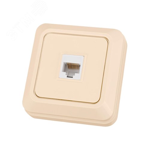 Розетка компьютерная (RJ-45) открытой установки IP20, сл. кость Ладога