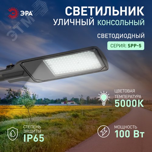 Светильник уличный светодиодный ДКУ 100Вт 5000К 10000Лм IP65 КСС Д DOB SMD 48мм SPP-504-0-50K-100