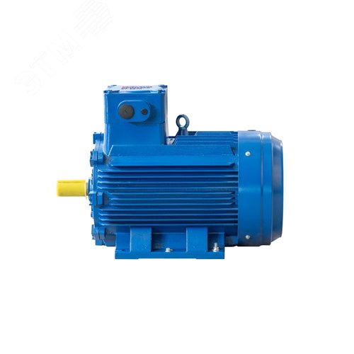 Электродвигатель АИМУ 200 L8 IM1001
