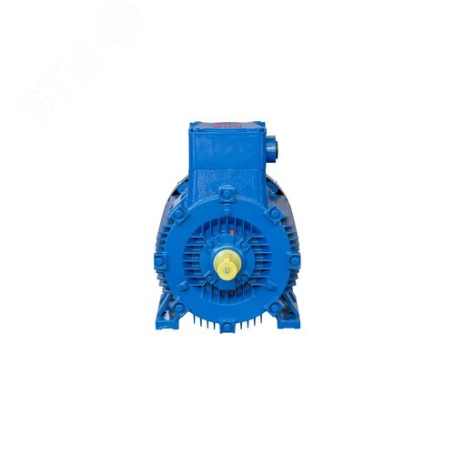 Электродвигатель АИМУ 200 L8 IM1001