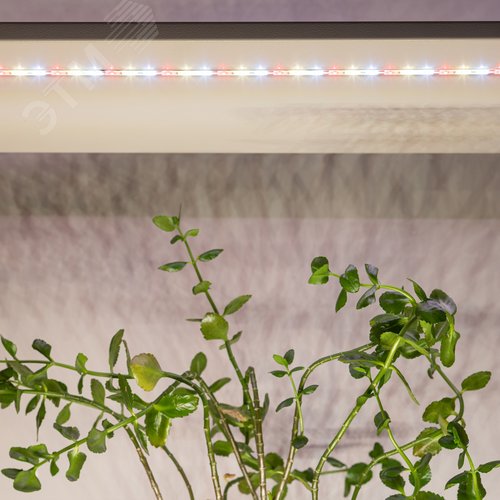 Лента светодиодная для растений полного спектра 3м IP65 с адаптером 12V FITO-Strip Light-Rа90-27W-3m-12V-IP65
