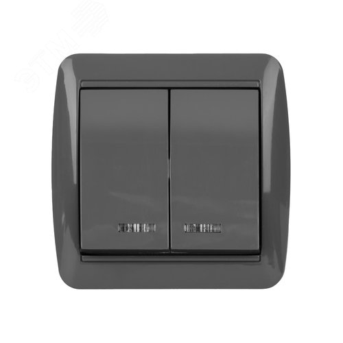 Выключатель 2-кл. открытой установки с подсветкой IP44 10А серый Селигер TDM