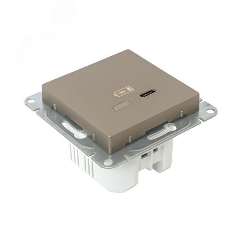 Механизм розетки USB-С быстрая шампань Эпика EKF