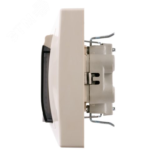 Розетка двойная 2П+З с защ. шт. и пр. крыш. 16А 250В IP44 (основание пластик) сл. кость Таймыр TDM