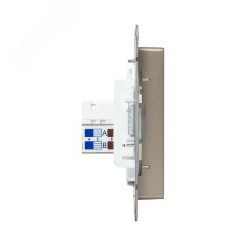 Механизм розетки RJ45 (cat5) шампань Эпика EKF