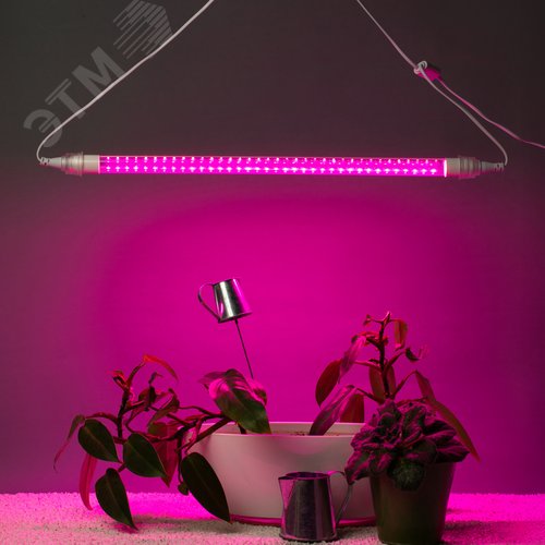 Светильник для растений, фитолампа светодиодная линейная FITO-9W-Rb-Т8+FITO-Holder IP65 2хG13 с выключателем, 1.5м