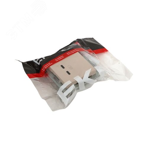 Механизм розетки USB-C - 2шт кремовый Эпика EKF