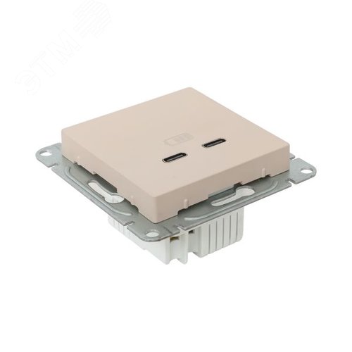Механизм розетки USB-C - 2шт кремовый Эпика EKF