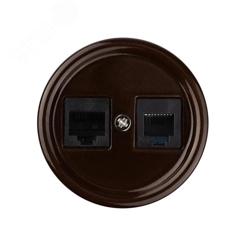 Розетка телефонная RJ11 + компьютерная RJ45 коричневая Болонь TDM