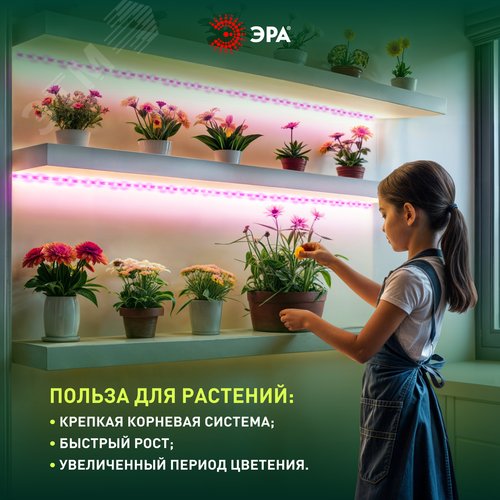 Лента светодиодная для растений с адаптером 12V FITO-Strip Light-RB-27W-3m-12V-IP65 красно-синего спектра 3м IP65 GREEN LINE