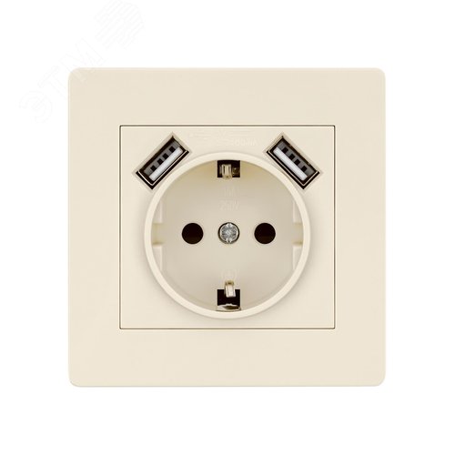 Розетка 2П+З 16А 250В + 2 USB порта 2,1А 5В сл. кость Сенеж