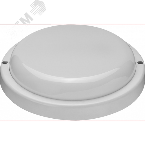Светильник светодиодный ДБП-20вт OBL-R4-20-6.5K-WH-IP65-LED